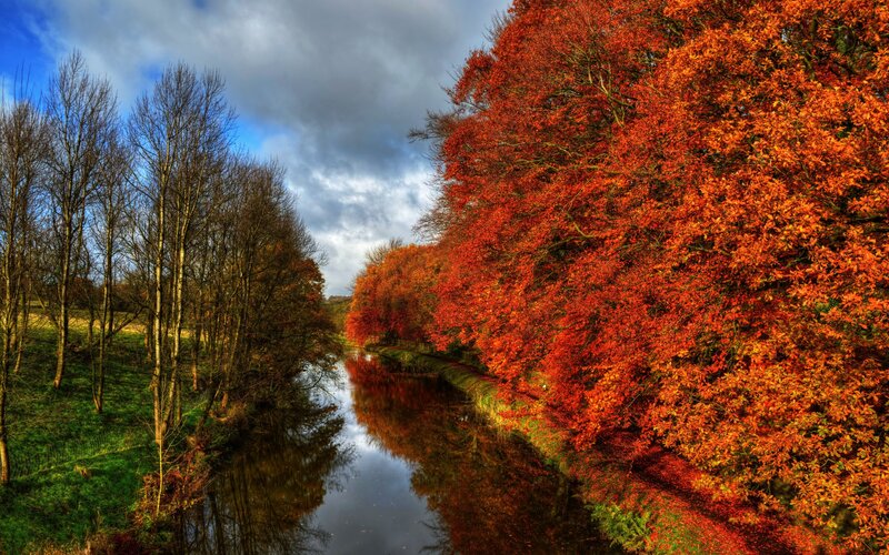 River with Autumn Trees — Red, Dramatic, Photograph
