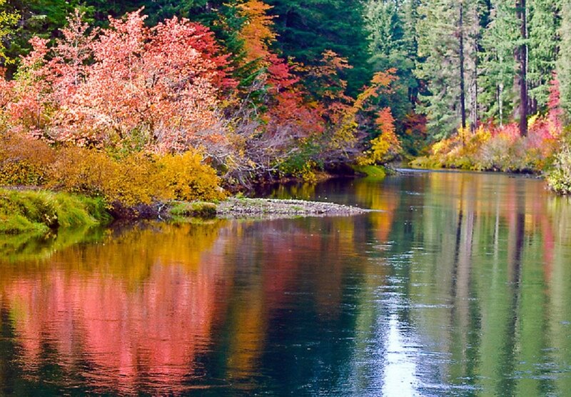 River with Autumn Trees — Red, Serene, Photograph, Reflection