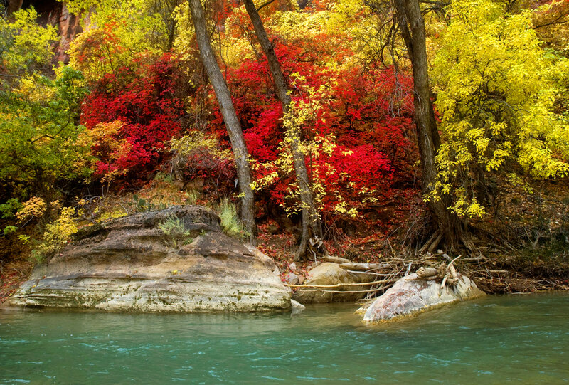 River with Autumn Trees — Red, Serene, Photograph