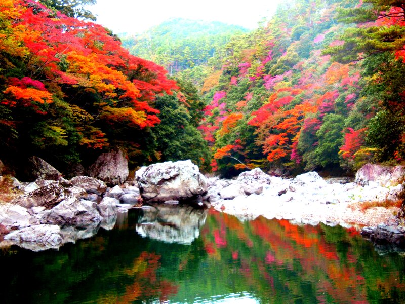 River with Autumn Trees — Red, Serene