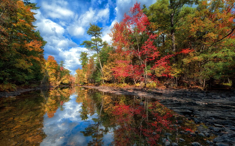 River with Autumn Trees — Red