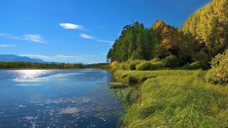 River with Autumn Trees — Serene