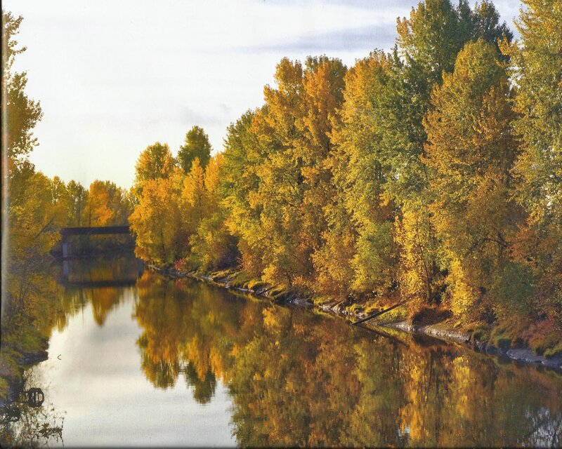 River with Autumn Trees — Yellow, Serene, Photograph, Bridge