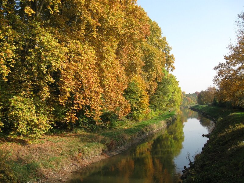 River with Autumn Trees — Yellow, Serene, Photograph, Sky