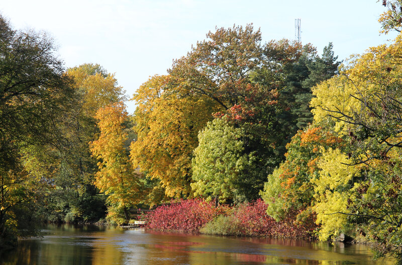 River with Autumn Trees — Yellow, Serene