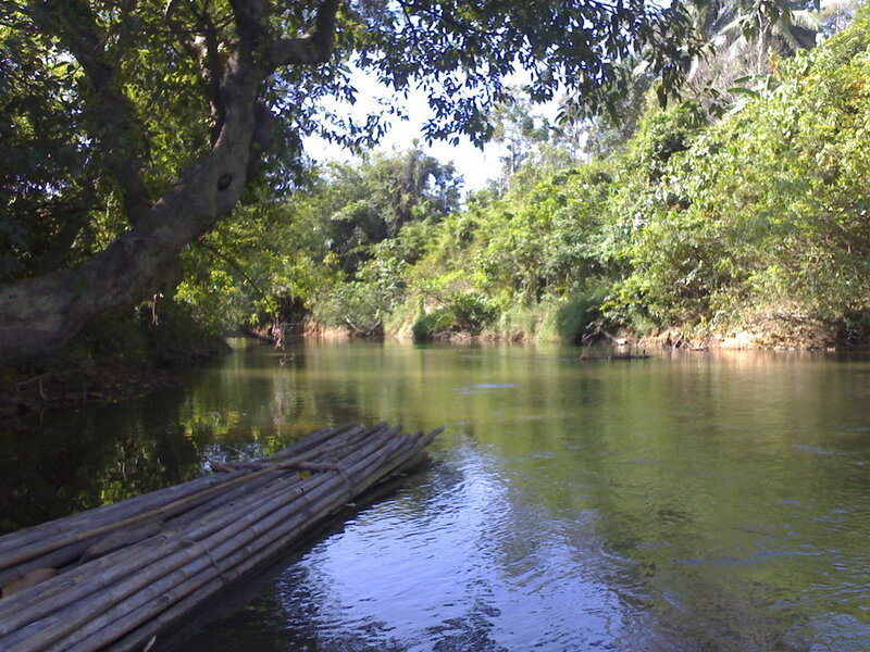 River with bamboo raft