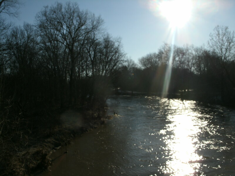 River with Bare Trees — Blue, Serene, Afternoon
