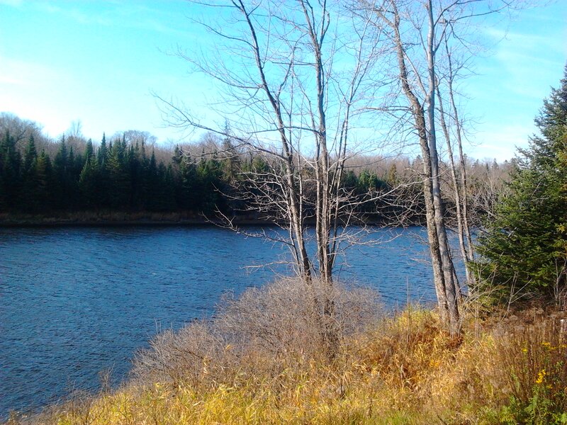 River with Bare Trees — Blue, Serene, Autumn