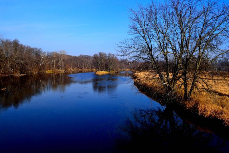 River with Bare Trees — Blue, Serene