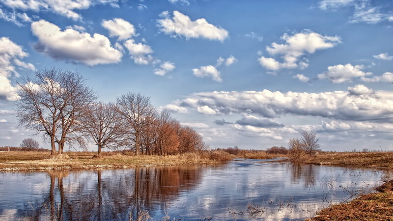 River with Bare Trees — Blue