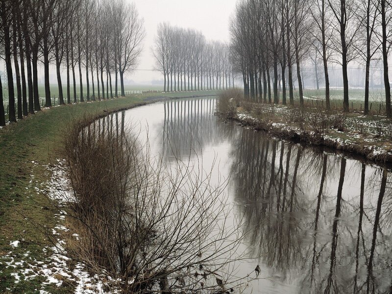 River with Bare Trees — Gray, Calm