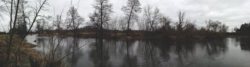 River with Bare Trees — Gray