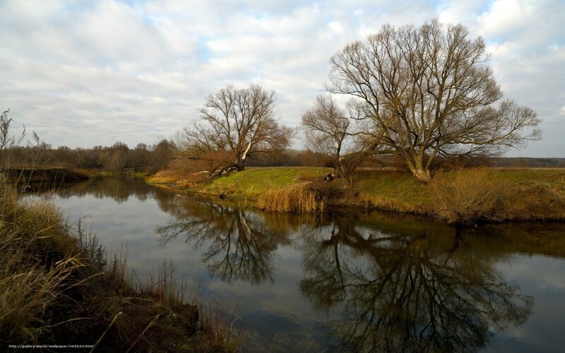 River with Bare Trees — Green