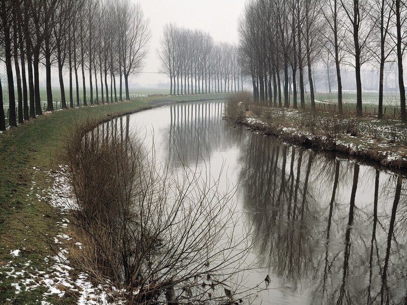 River with bare trees in winter