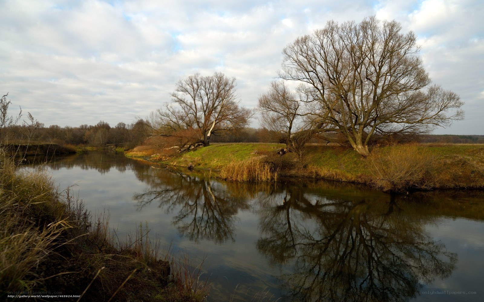River with bare trees reflection