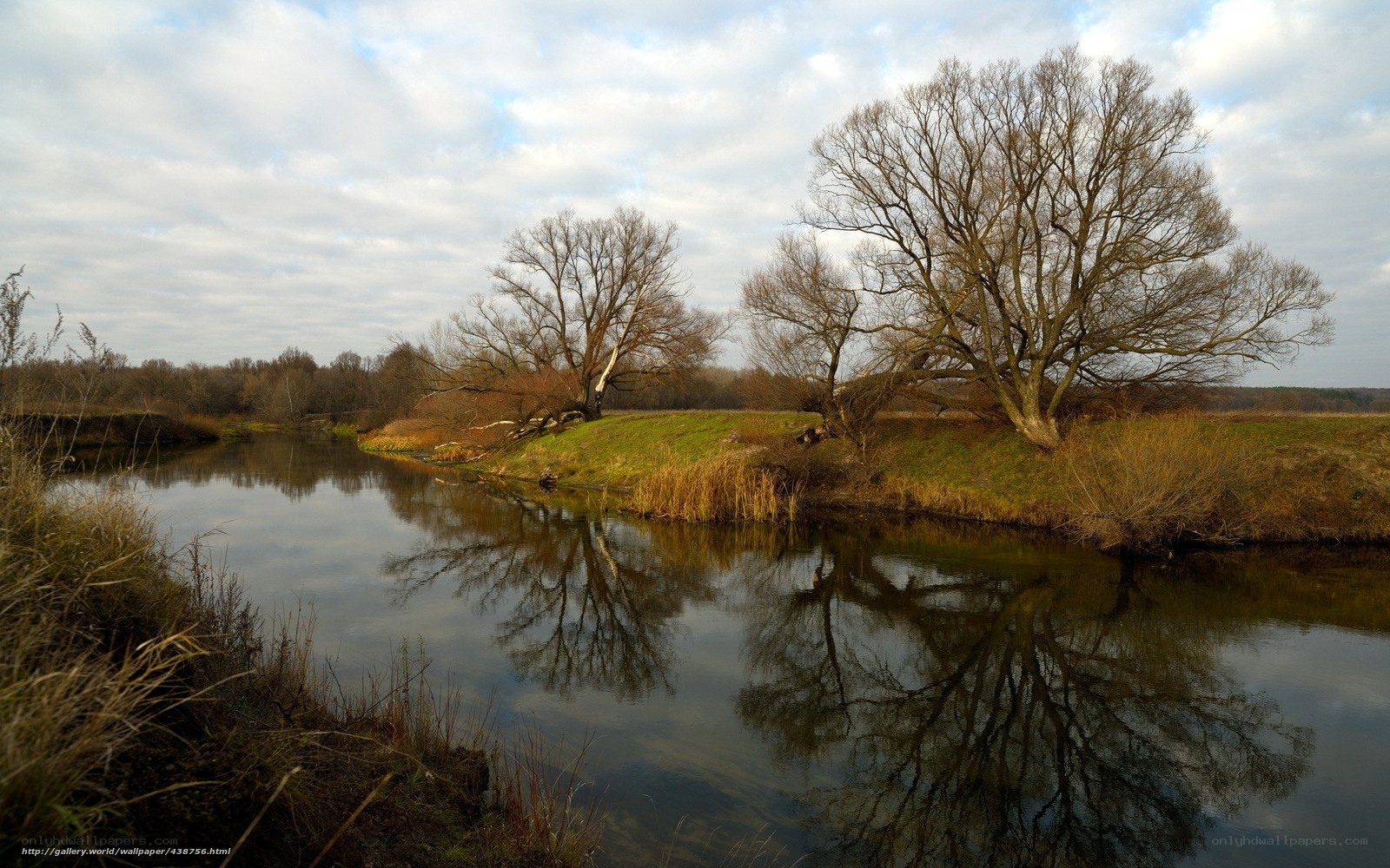 River with bare trees reflection