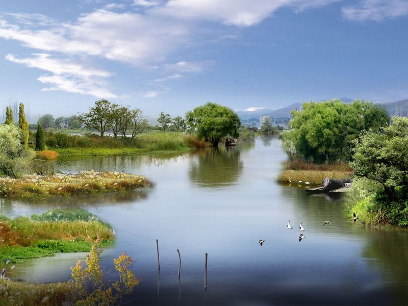 River with Birds and Trees — Blue, Serene, Afternoon