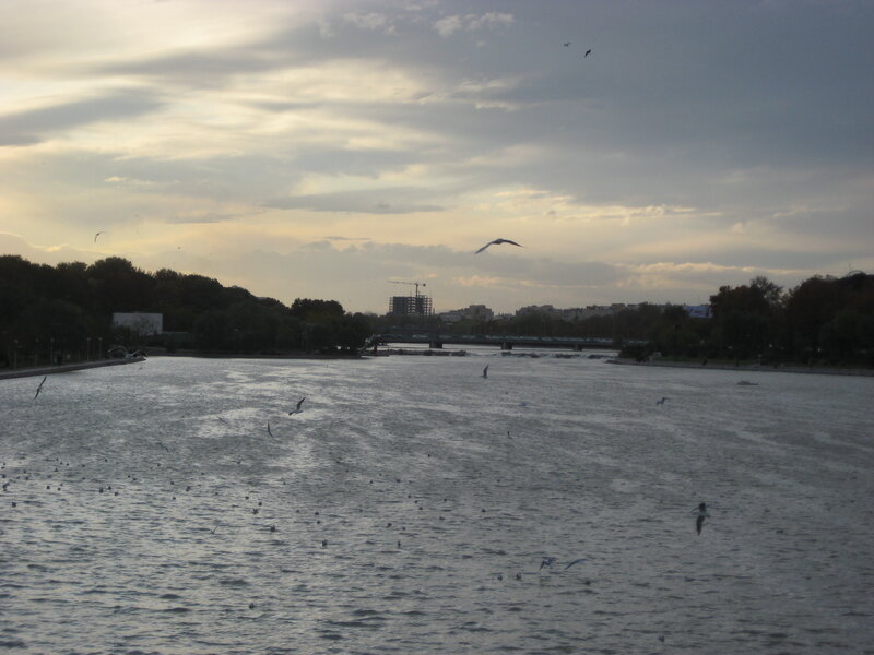River with Birds Flying