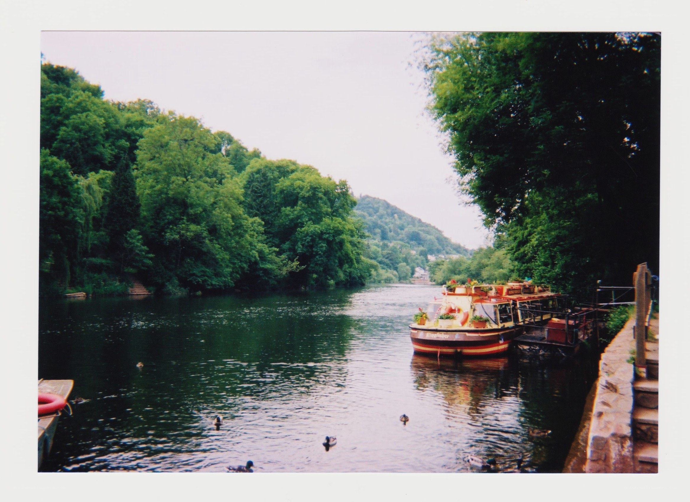 River with boats and ducks