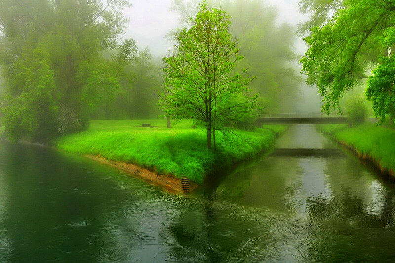 River with Bridge and Trees — Green