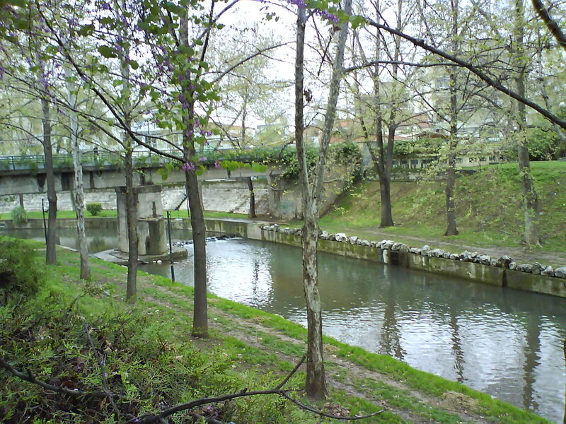 River with bridge and trees