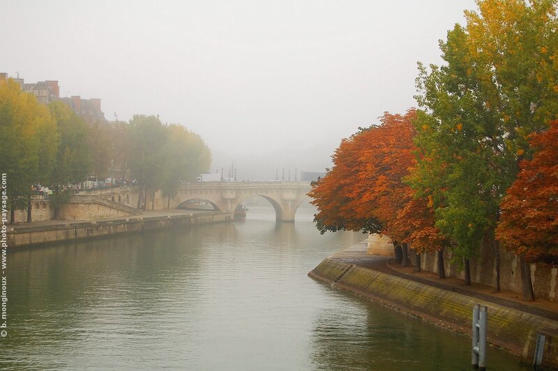 River with Bridge — Green, Misty