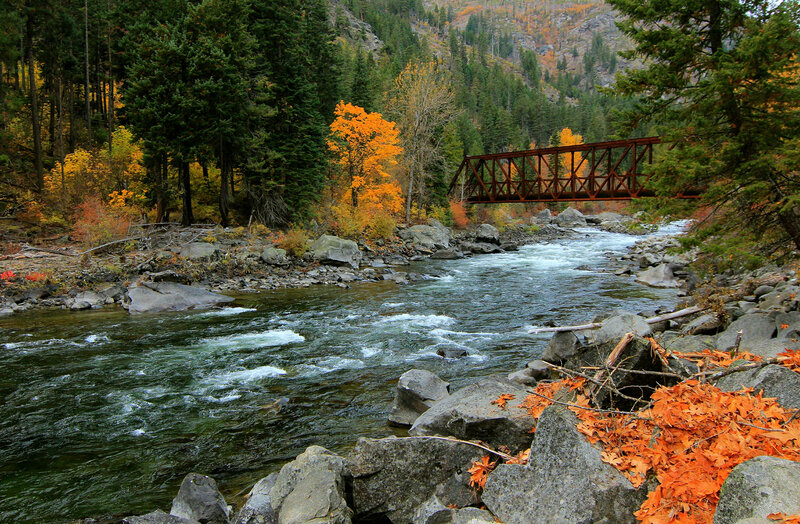 River with Bridge — Green, Serene, Autumn