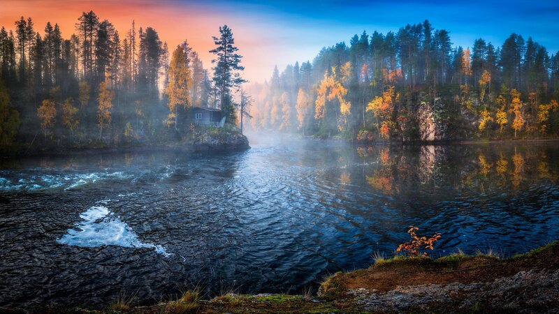 River with Cabin in Forest