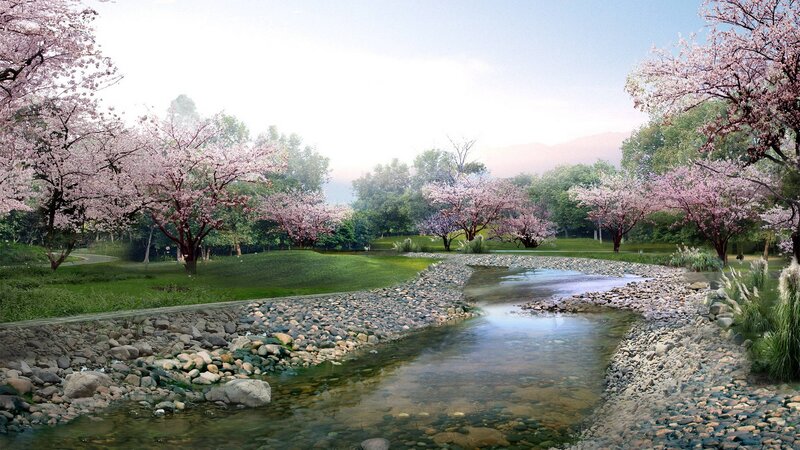 River with Cherry Trees