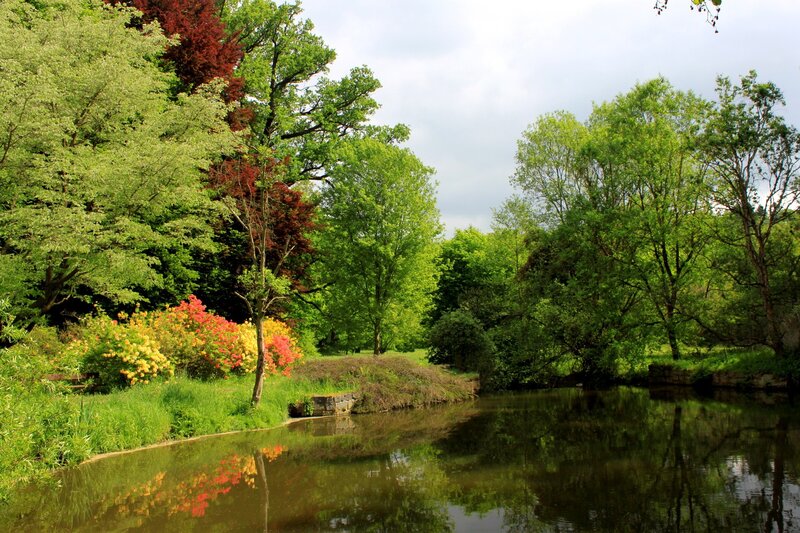 River with colorful flowers and trees