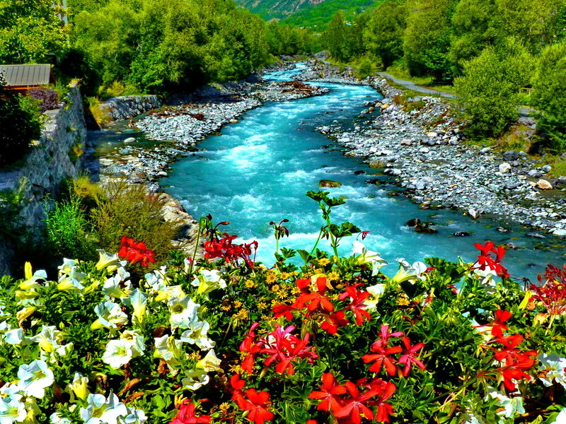 River with Colorful Flowers