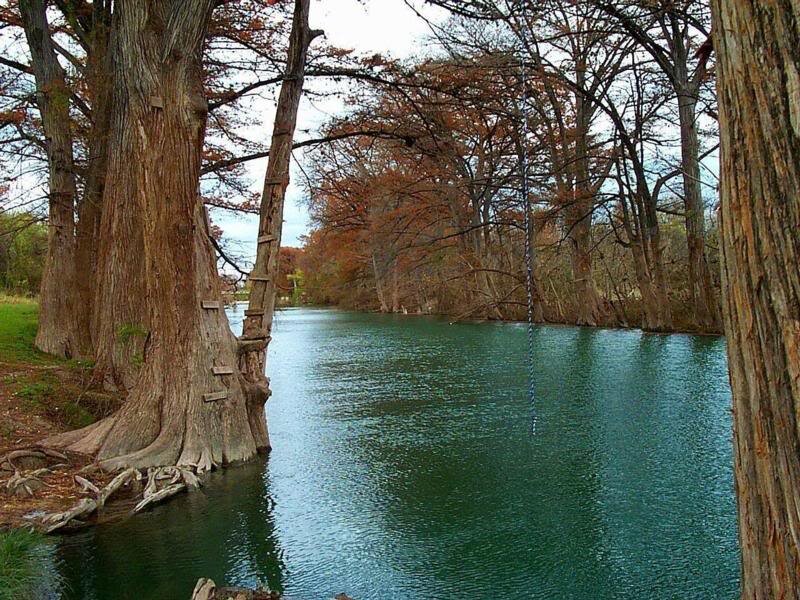 River with Cypress Trees — Green, Serene, Autumn