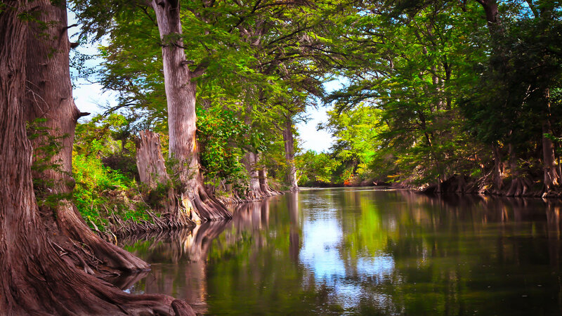 River with Cypress Trees