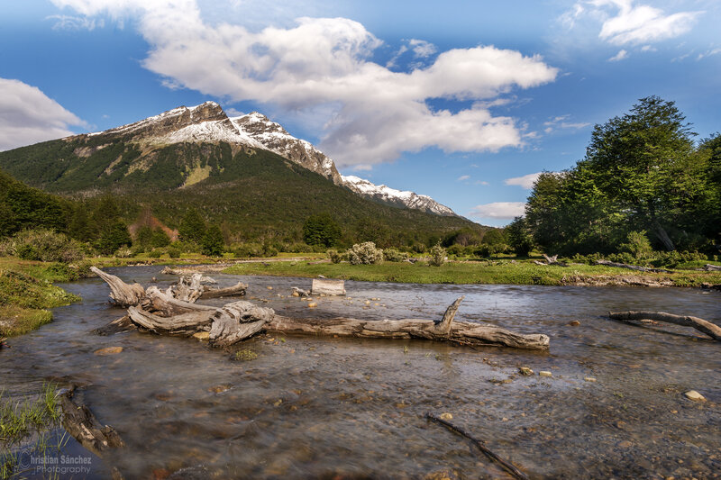 River with Driftwood — Blue