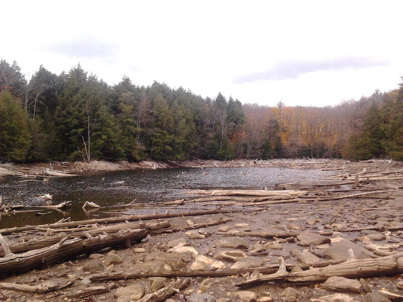 River with Driftwood