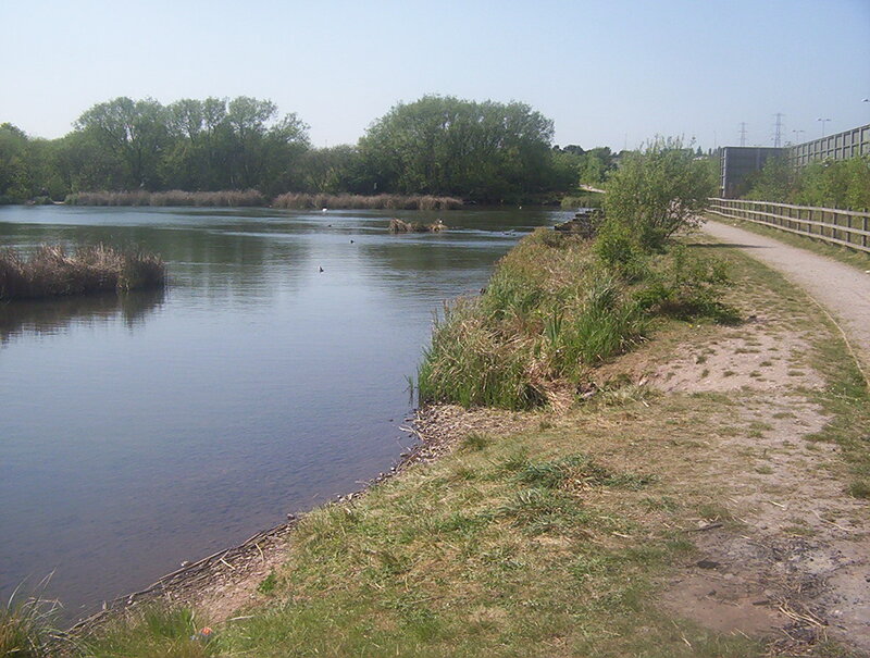 River with Ducks
