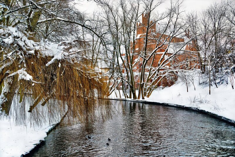River with Ducks — White