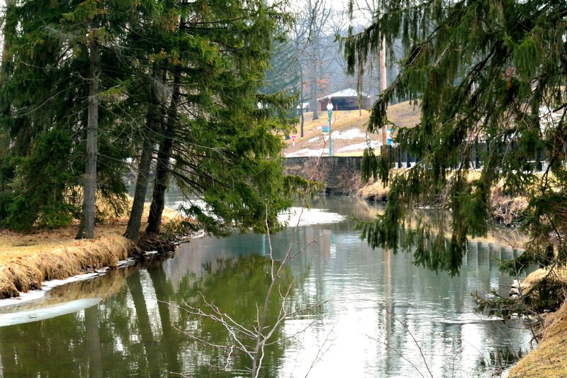 River with Evergreen Trees