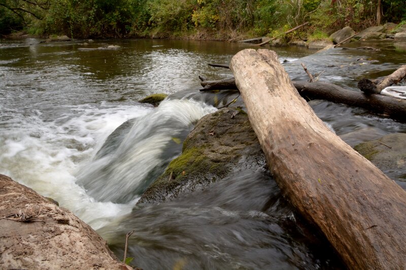 River with Fallen Log