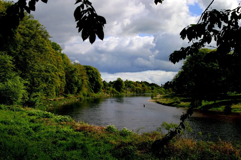 River with Fisherman — Green