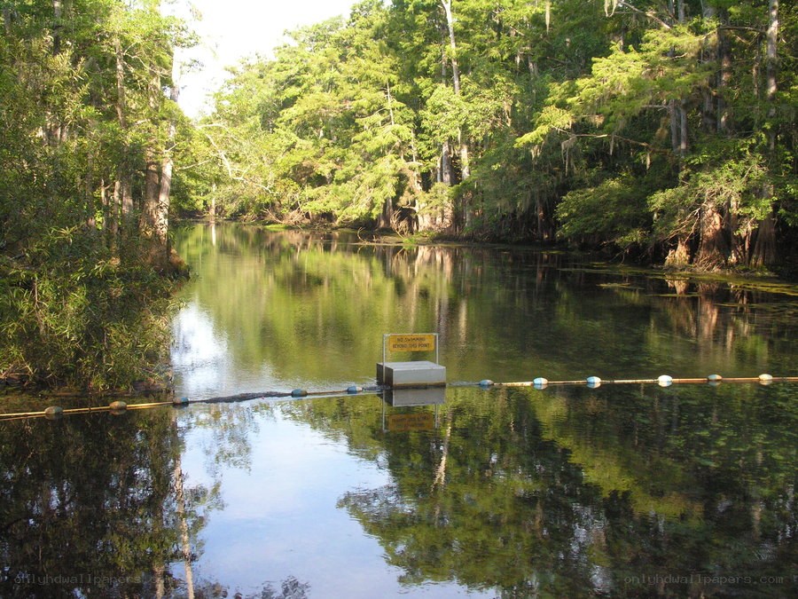 River with floating barrier