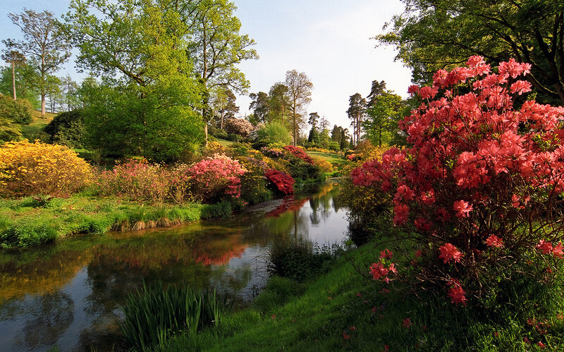 River with Flowering Bushes