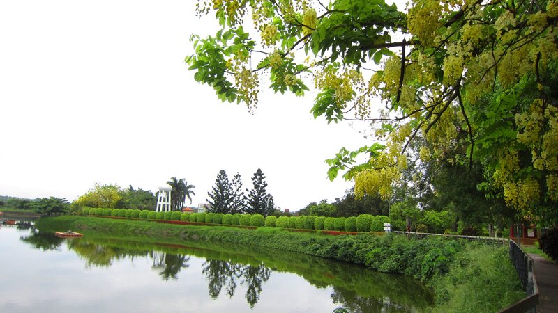 River with Flowering Tree