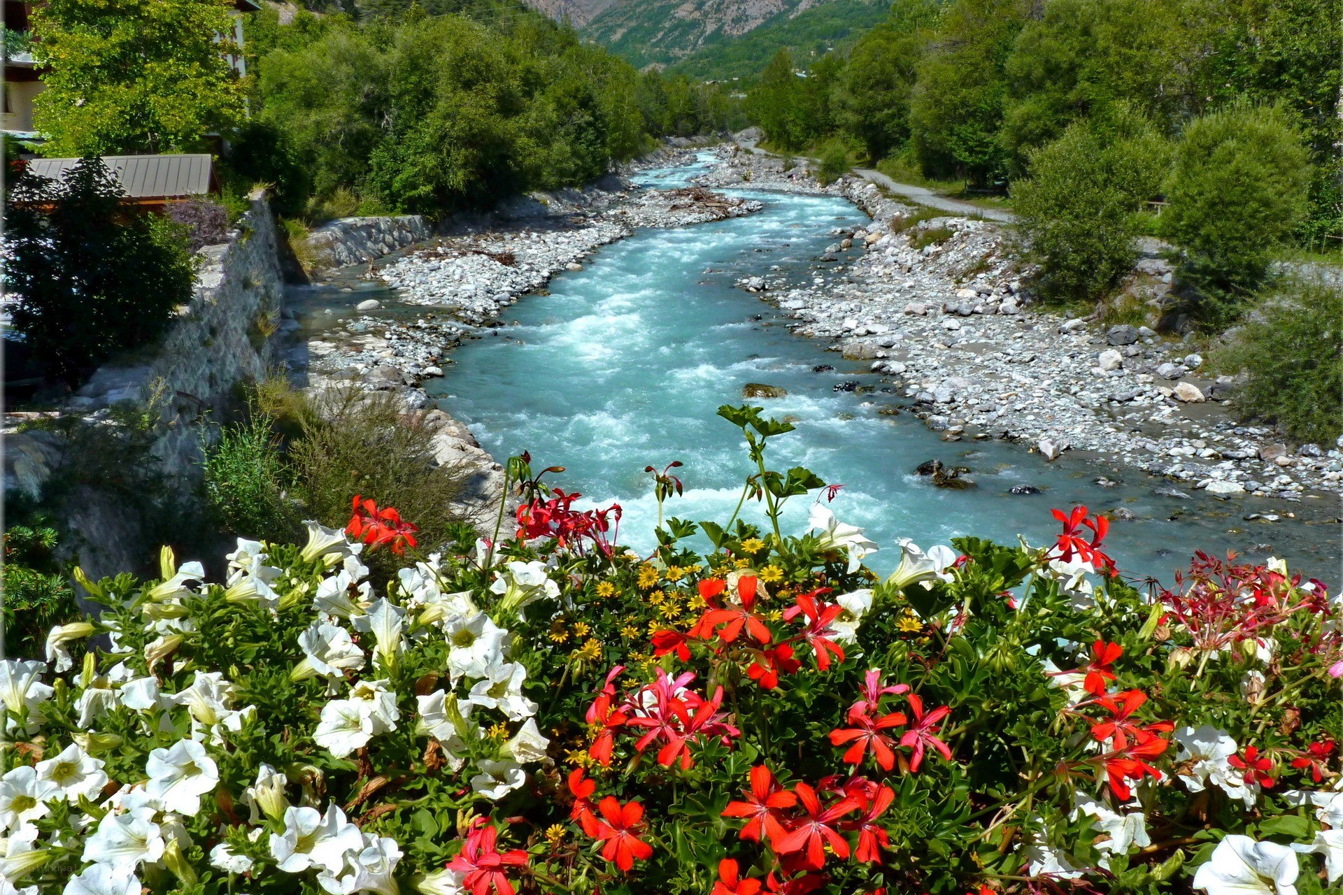 River with flowers in foreground