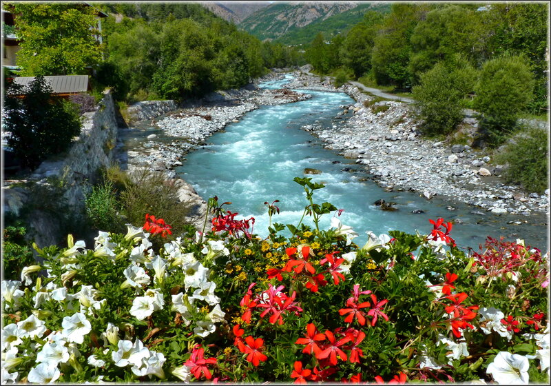 River with Flowers