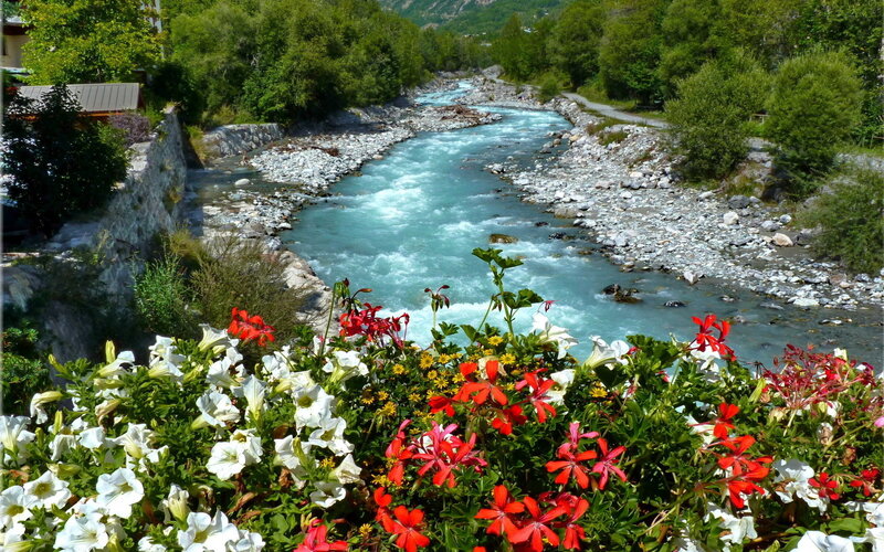 River with Flowers — White