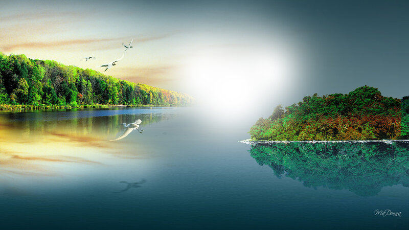 River with Flying Birds