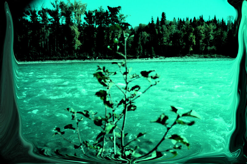 River with Forest Background