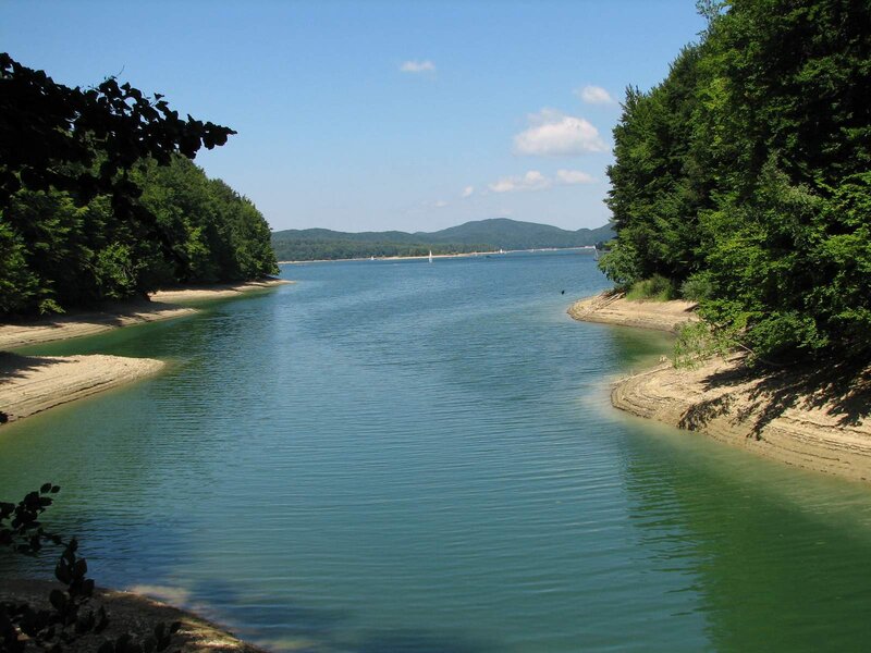 River with Forest Banks