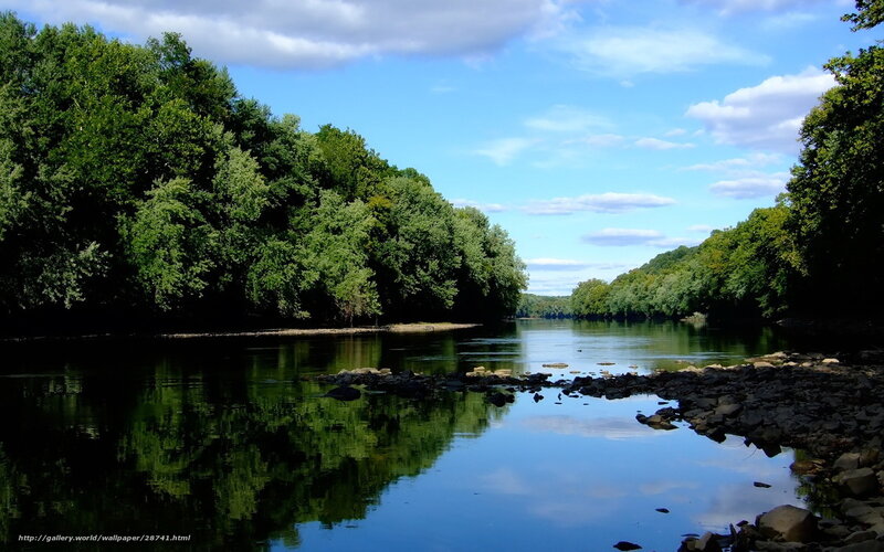 River with forest reflection